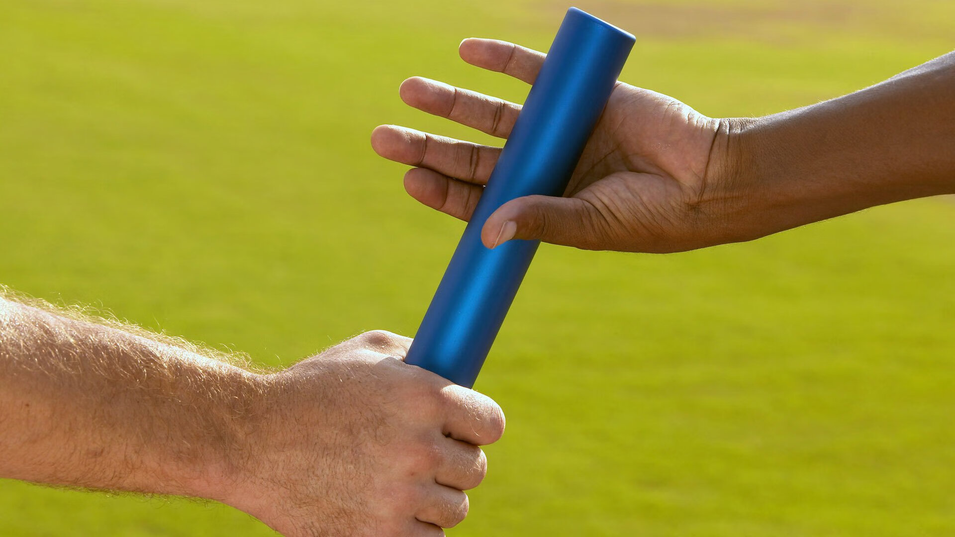 女子蝶泳划频节奏变化曲线对比图，女子蝶泳100